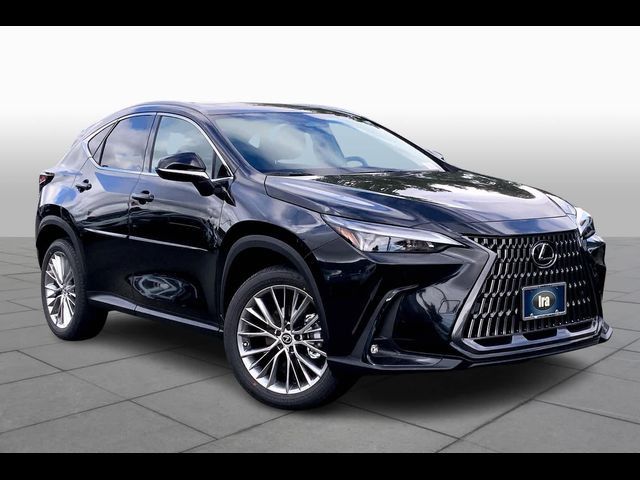 2025 Lexus NX 350 Premium