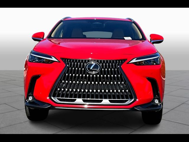 2025 Lexus NX 350 Premium