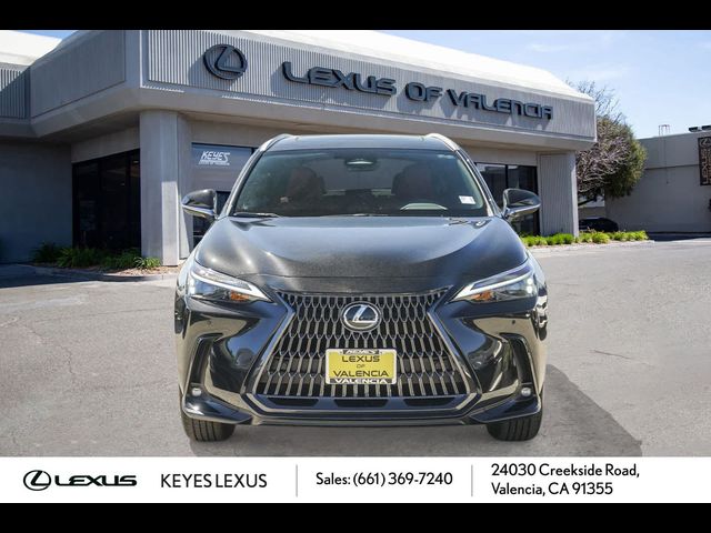 2025 Lexus NX 350 Premium