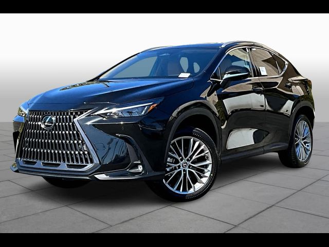 2025 Lexus NX 350 Premium