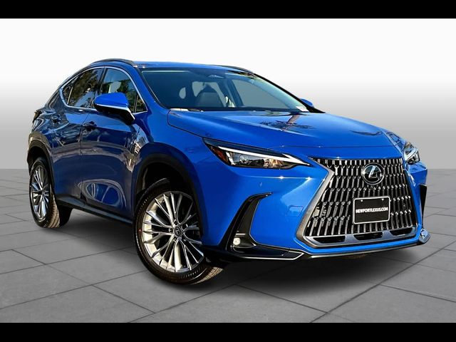 2025 Lexus NX 350 Premium