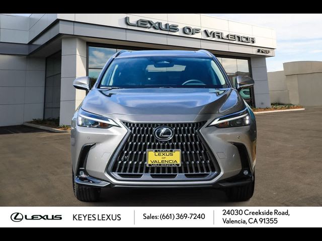 2025 Lexus NX 350 Premium