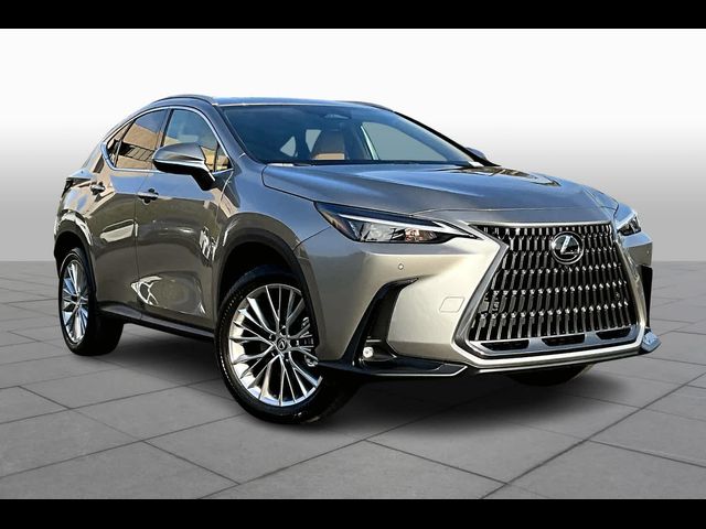 2025 Lexus NX 350 Premium