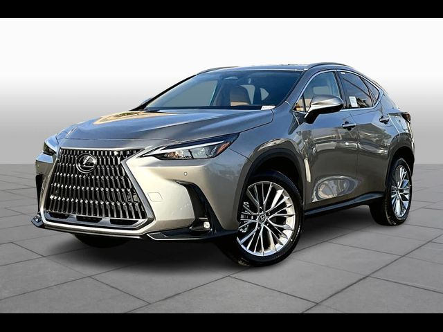 2025 Lexus NX 350 Premium