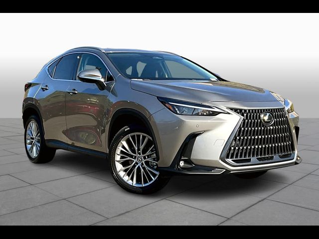 2025 Lexus NX 350 Premium