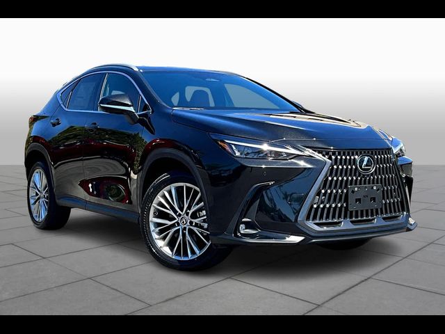 2025 Lexus NX 350 Premium