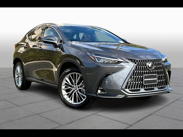 2025 Lexus NX 350 Premium