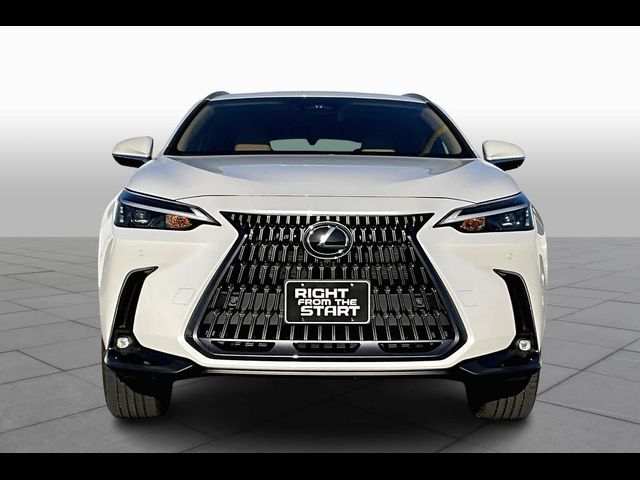 2025 Lexus NX 350 Premium