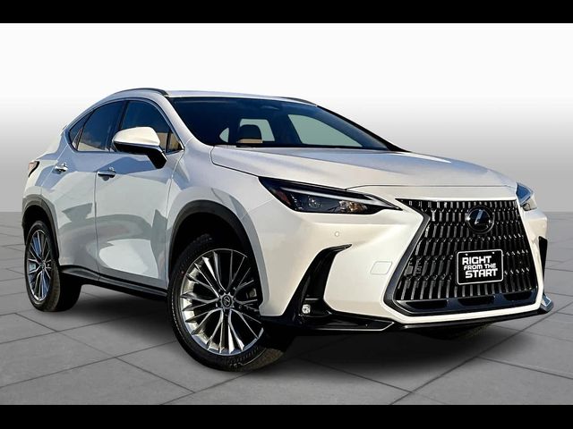 2025 Lexus NX 350 Premium