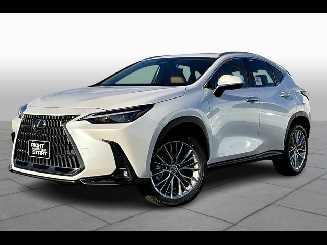 2025 Lexus NX 350 Premium