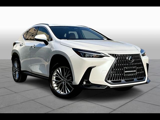 2025 Lexus NX 350 Premium