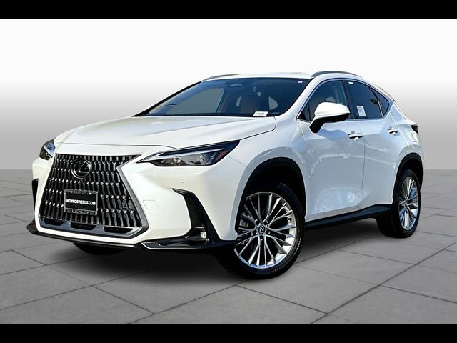 2025 Lexus NX 350 Premium