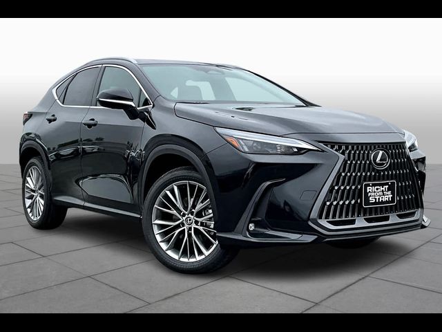 2025 Lexus NX 350 Premium