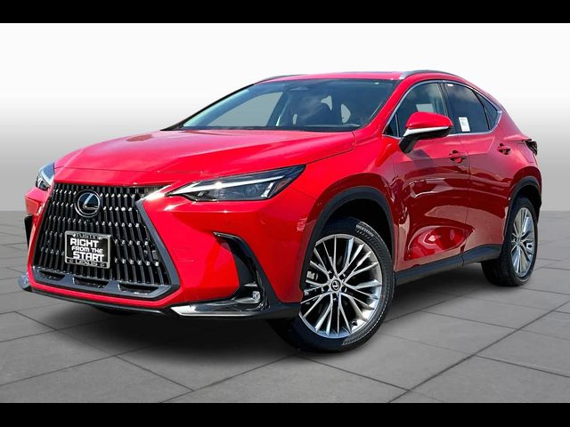 2025 Lexus NX 350 Premium