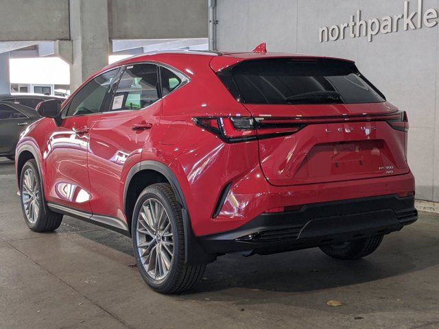 2025 Lexus NX 350 Premium