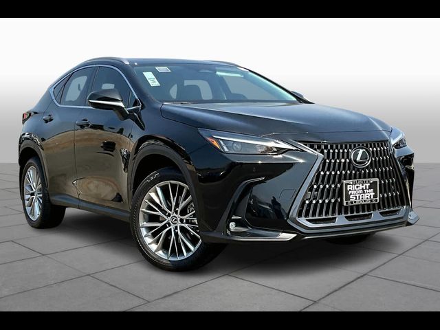 2025 Lexus NX 350 Premium