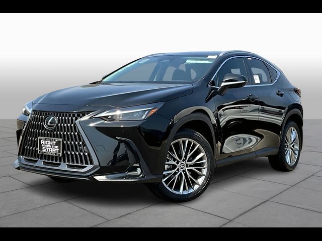 2025 Lexus NX 350 Premium