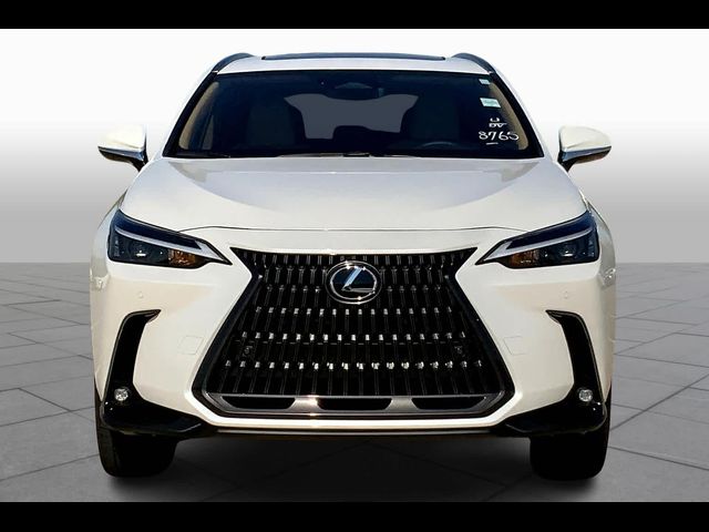 2025 Lexus NX 350 Premium