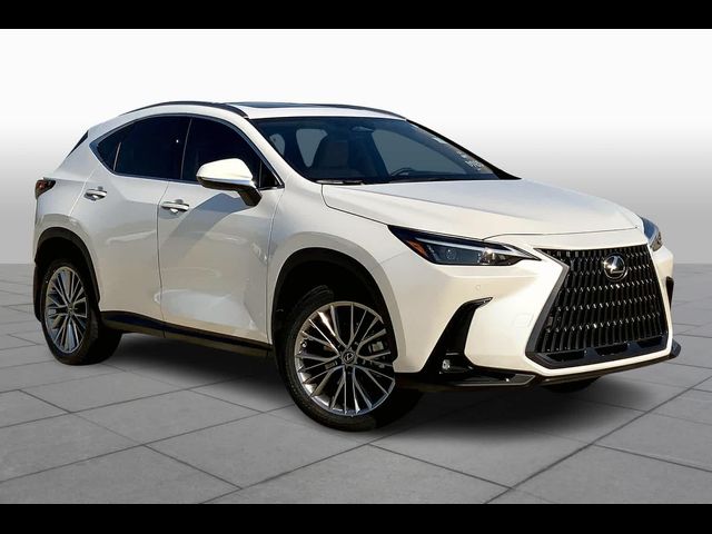 2025 Lexus NX 350 Premium