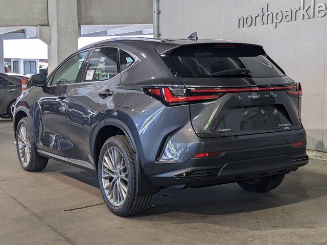 2025 Lexus NX 350 Premium