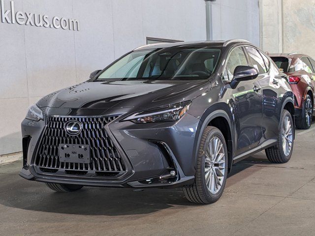 2025 Lexus NX 350 Premium