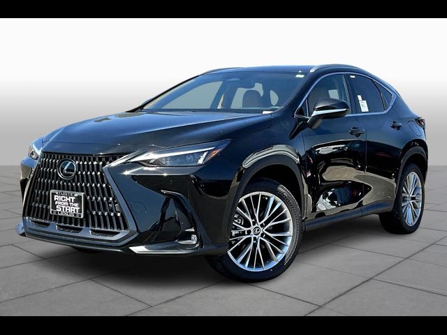 2025 Lexus NX 350h