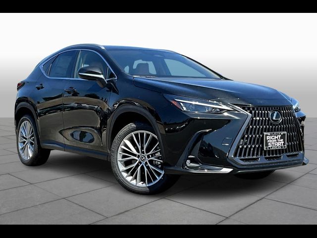 2025 Lexus NX 350h