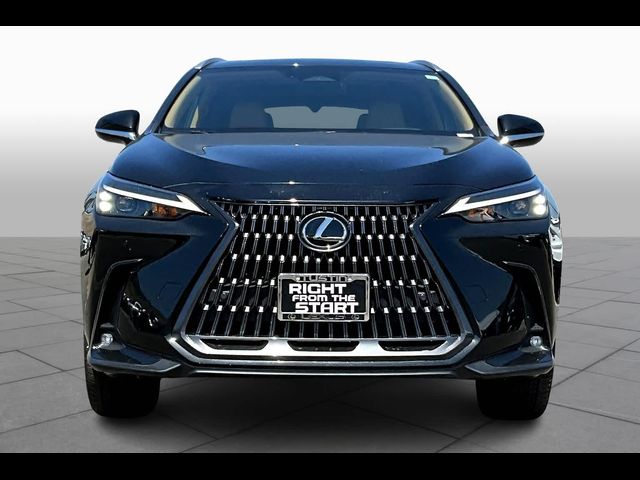 2025 Lexus NX 350h