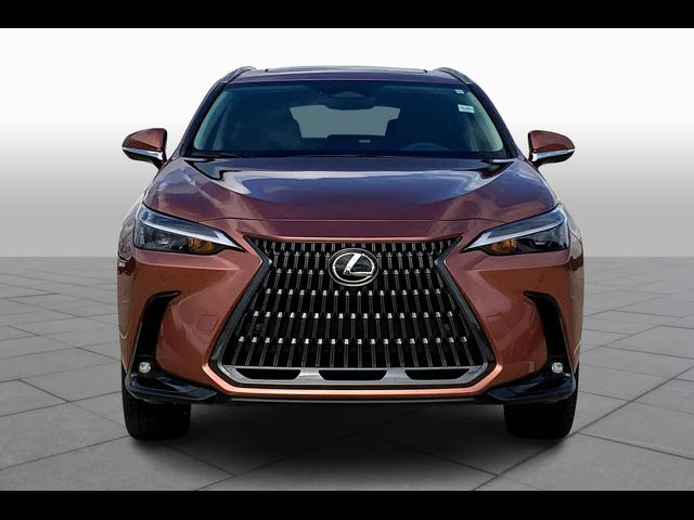 2025 Lexus NX 350h Premium