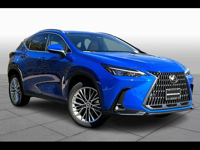 2025 Lexus NX 350h Premium