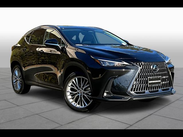 2025 Lexus NX 350h Premium