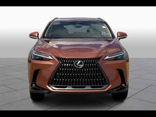 2025 Lexus NX 350h Premium