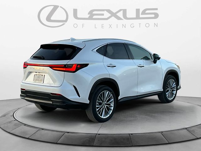 2025 Lexus NX 350h Premium