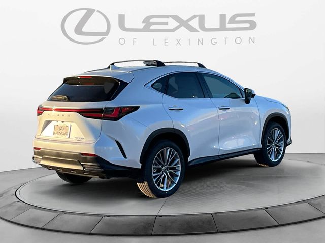 2025 Lexus NX 350h Premium