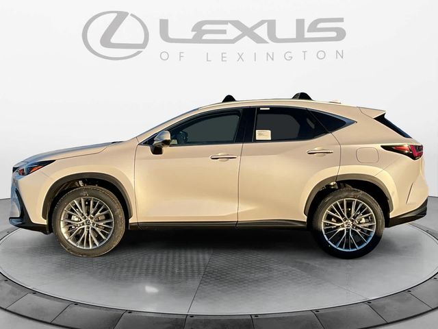 2025 Lexus NX 350h Premium