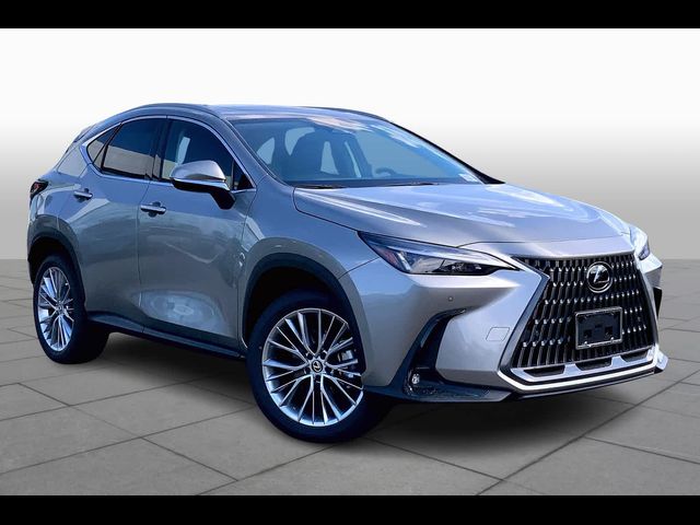 2025 Lexus NX 350h Premium