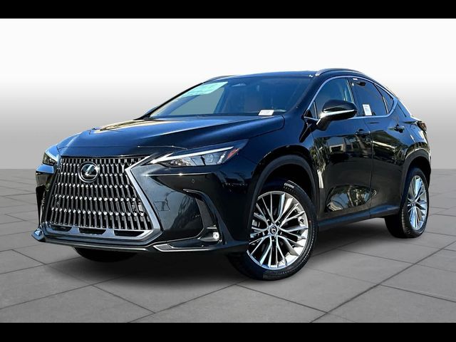 2025 Lexus NX 350h Premium