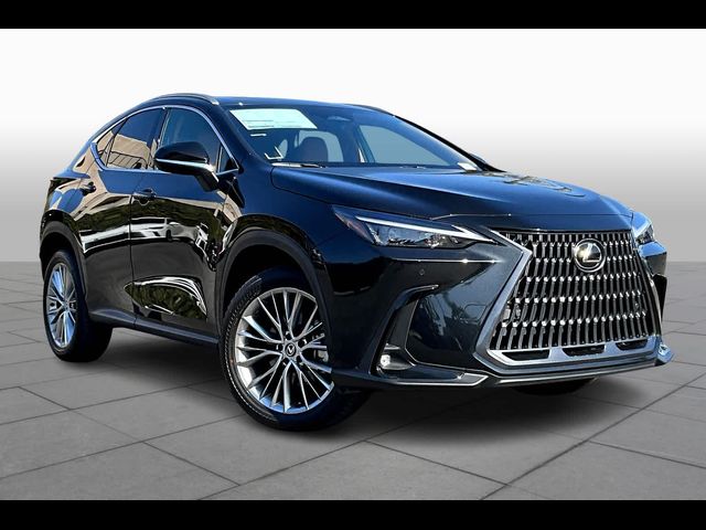 2025 Lexus NX 350h Premium