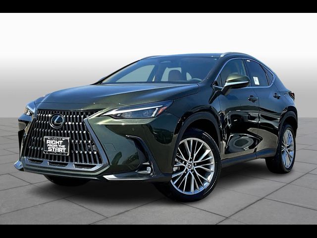 2025 Lexus NX 350h Premium