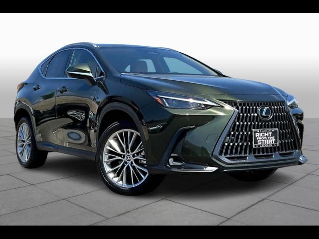 2025 Lexus NX 350h Premium