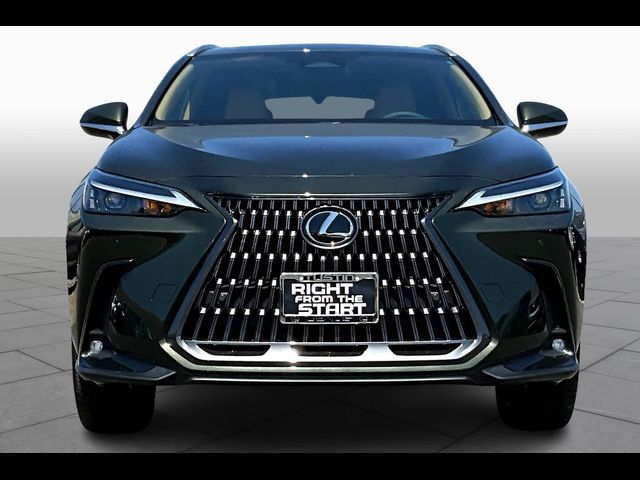 2025 Lexus NX 350h Premium