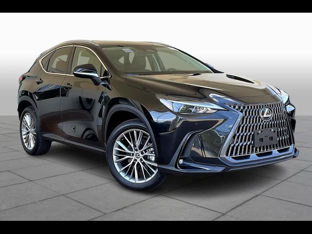 2025 Lexus NX 350h Premium