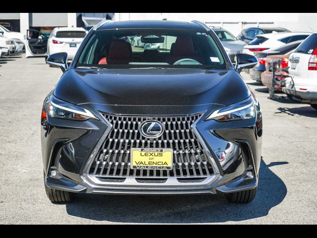 2025 Lexus NX 350h Premium