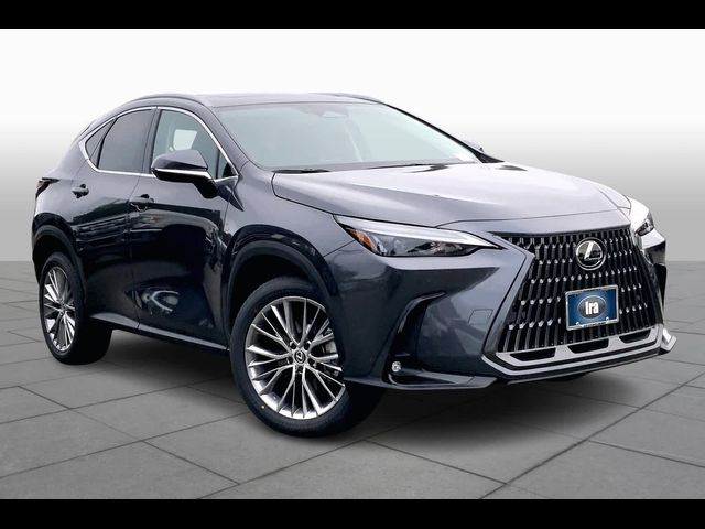 2025 Lexus NX 350h Premium