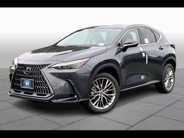 2025 Lexus NX 350h Premium