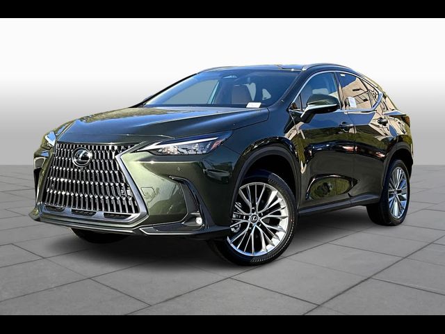 2025 Lexus NX 350h Premium