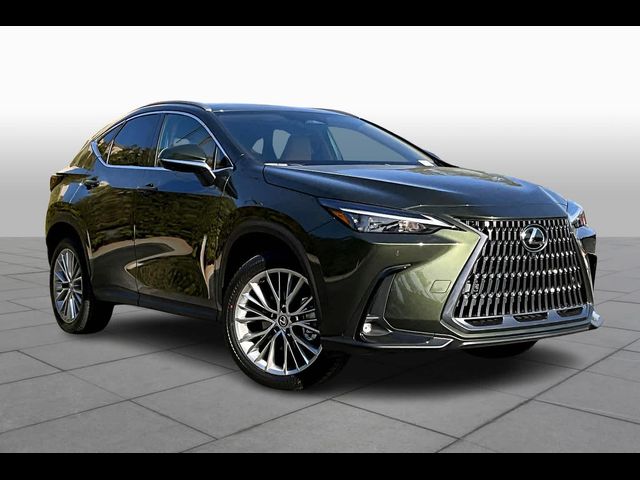 2025 Lexus NX 350h Premium