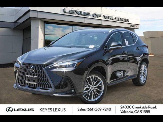 2025 Lexus NX 350h Premium