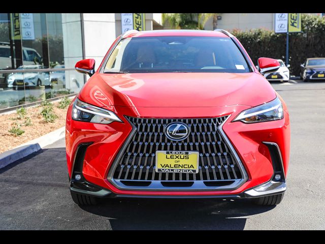 2025 Lexus NX 350h Premium