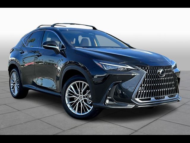 2025 Lexus NX 350h Premium